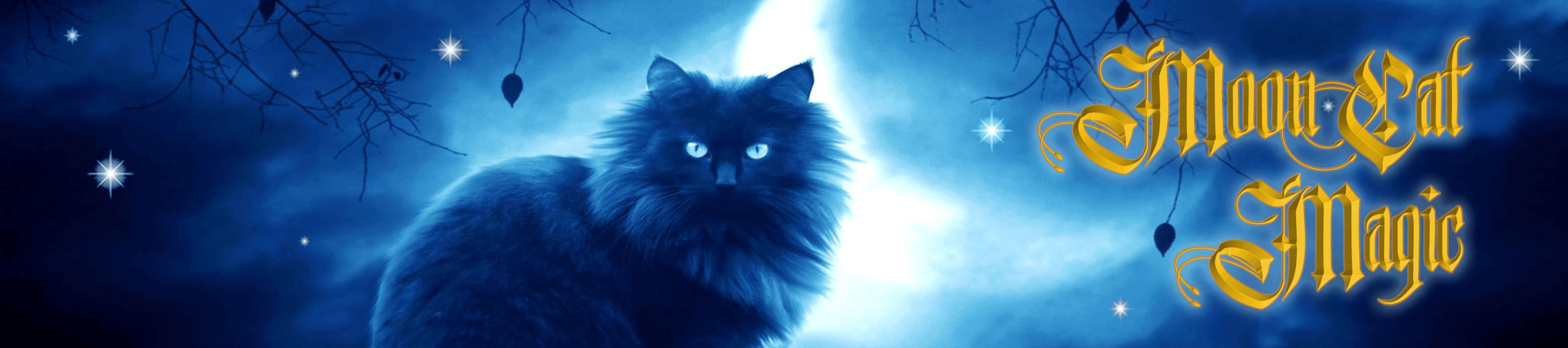 Moon Cat Magic